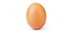 world record egg instagram huevo